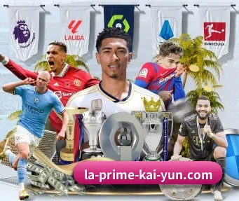 开云体育 APP（kaiyun）